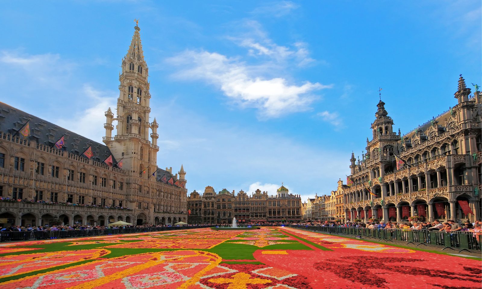 8UP media - Agence Marketing Bruxelles